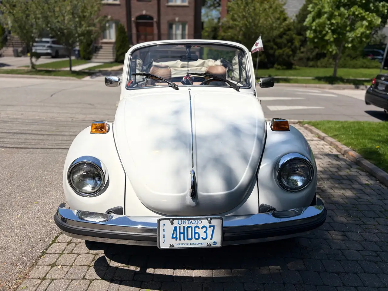 Volkswagen Beetle снимка Volkswagen Beetle