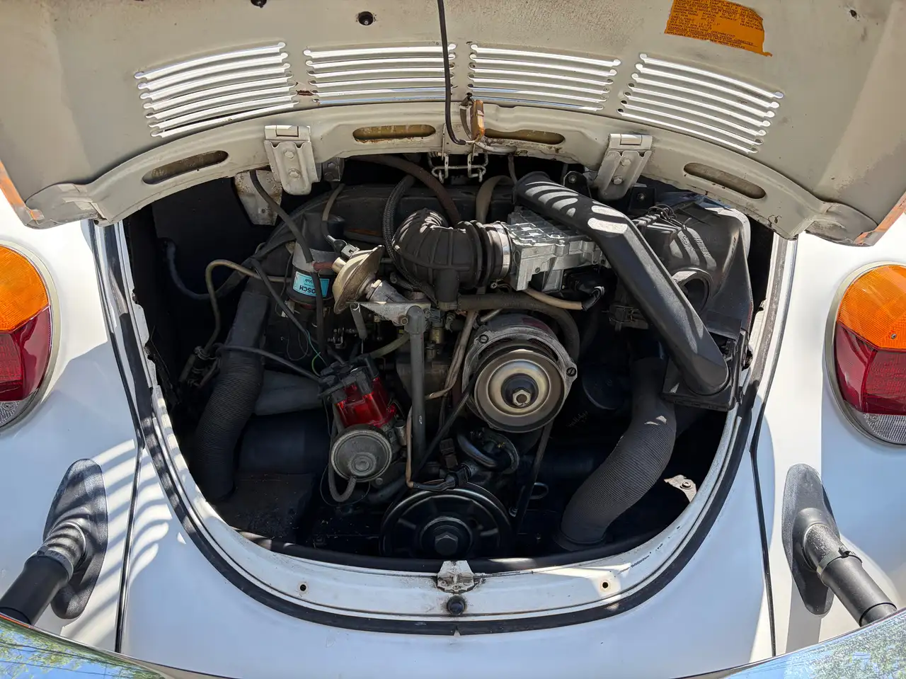 Volkswagen Beetle снимка Volkswagen Beetle