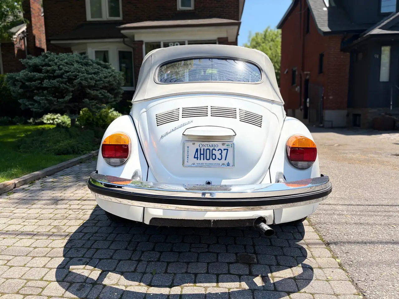 Volkswagen Beetle снимка Volkswagen Beetle