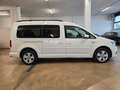 Volkswagen Caddy 2.0 TDI 102 CV DSG Comfortline Maxi (IVA inclusa) White - thumbnail 6