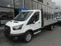 Ford TRANSIT PRITSCHE FRONT TREND 350 L3 FORD TRANSI... Weiß - thumbnail 1