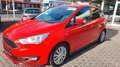 Ford C-Max Business Edition,1.Hand,AHK.,Navy Rot - thumbnail 1
