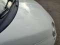 Fiat 500 1.2 Lounge 69cv - thumbnail 8
