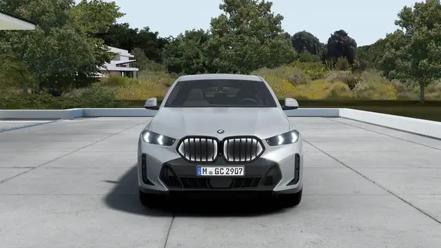 BMW X6 xDrive40d M Sport AHK ACC Pano B&W