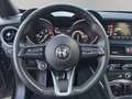 Alfa Romeo Stelvio 2.2 t Business Q4 190cv auto Negro - thumbnail 10