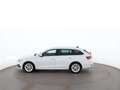 Skoda Octavia Combi 2.0 TDI Style Aut LED RADAR NAVI Blanco - thumbnail 5