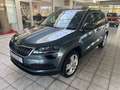 Skoda Karoq Style,Navi,LED.ACC,DCG,Pano,Car-Play Grau - thumbnail 1