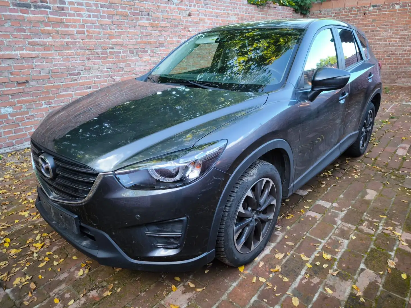 Mazda CX-5 Sports-Line AWD 2.2 d AGR Kühler undicht Grau - 1