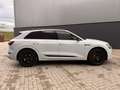 Audi e-tron e-tron 55 q adv PL S Wit - thumbnail 6