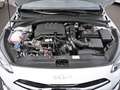 Kia Ceed SW / cee'd SW Ceed SW 1.0T DCT Nightline Navi Lenkradhzg ACC Weiß - thumbnail 20