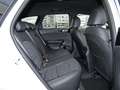 Kia Ceed SW / cee'd SW Ceed SW 1.0T DCT Nightline Navi Lenkradhzg ACC Weiß - thumbnail 11