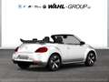 Volkswagen Beetle Cabrio 1.2 TSI Design Navi PDC Komfort App Connect Weiß - thumbnail 2