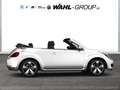 Volkswagen Beetle Cabrio 1.2 TSI Design Navi PDC Komfort App Connect Weiß - thumbnail 6