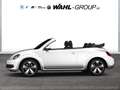 Volkswagen Beetle Cabrio 1.2 TSI Design Navi PDC Komfort App Connect Weiß - thumbnail 3