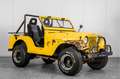 Oldtimer Willys Overland Weiß - thumbnail 7