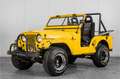 Oldtimer Willys Overland Weiß - thumbnail 1