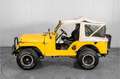 Oldtimer Willys Overland Wit - thumbnail 39