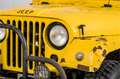 Oldtimer Willys Overland Weiß - thumbnail 18