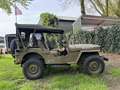 Jeep Willys 4x4 Verde - thumbnail 20