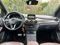 Mercedes-Benz B 220 4MATIC Prestige Xenon Distronic Grau - thumbnail 6