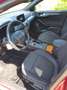 Ford Focus Focus Sportbreak 1.5 Ecoboost Active Aut. 150 Active Rojo - thumbnail 13