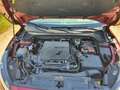 Ford Focus Focus Sportbreak 1.5 Ecoboost Active Aut. 150 Active Rojo - thumbnail 8