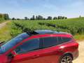 Ford Focus Focus Sportbreak 1.5 Ecoboost Active Aut. 150 Active Rojo - thumbnail 5