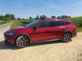 Ford Focus Focus Sportbreak 1.5 Ecoboost Active Aut. 150 Active Rojo - thumbnail 6