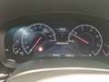 BMW M550 M550 d xDrive Wit - thumbnail 13