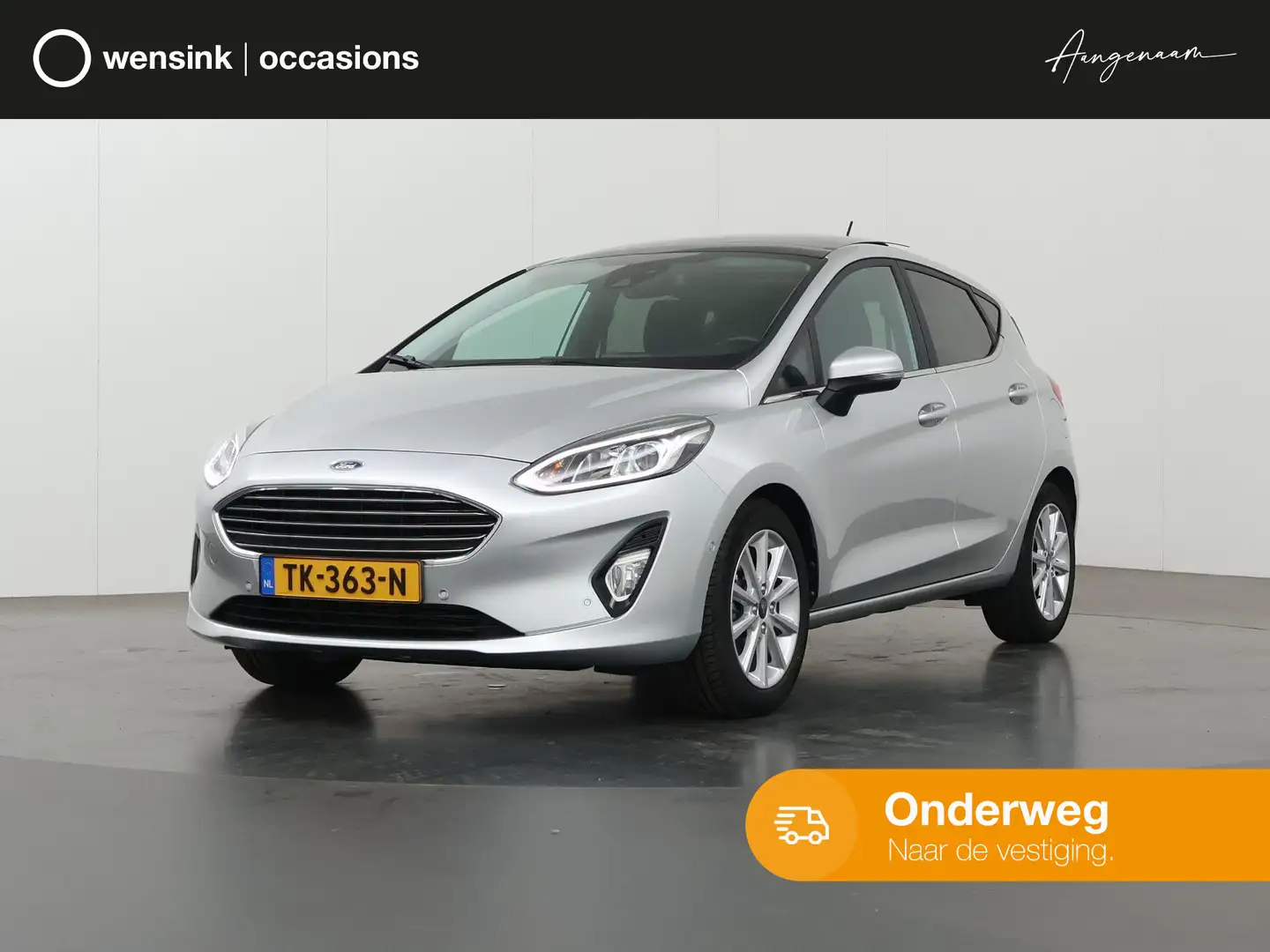Ford Fiesta 1.0 EcoBoost Titanium | Panoramadak | Winterpakket Grijs - 1
