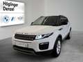Land Rover Range Rover Evoque SE 2,0 TD4 Weiß - thumbnail 1