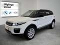 Land Rover Range Rover Evoque SE 2,0 TD4 Weiß - thumbnail 2