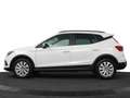 SEAT Arona 1.0 TSI STYLE BUSINESS INTENSE DSG-7 AUTOMAAT ECC/ Blanc - thumbnail 13