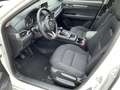 Mazda CX-5 2.0 GS Prime-Line LED Klima Allwetter Blanc - thumbnail 7