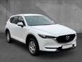 Mazda CX-5 2.0 GS Prime-Line LED Klima Allwetter Blanc - thumbnail 5