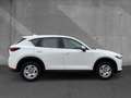 Mazda CX-5 2.0 GS Prime-Line LED Klima Allwetter Blanc - thumbnail 4