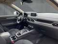 Mazda CX-5 2.0 GS Prime-Line LED Klima Allwetter Blanc - thumbnail 9