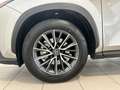 Lexus NX 300h 350h Executive 2WD Grau - thumbnail 5