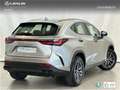 Lexus NX 300h 350h Executive 2WD Grau - thumbnail 4