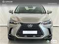 Lexus NX 300h 350h Executive 2WD Grau - thumbnail 2