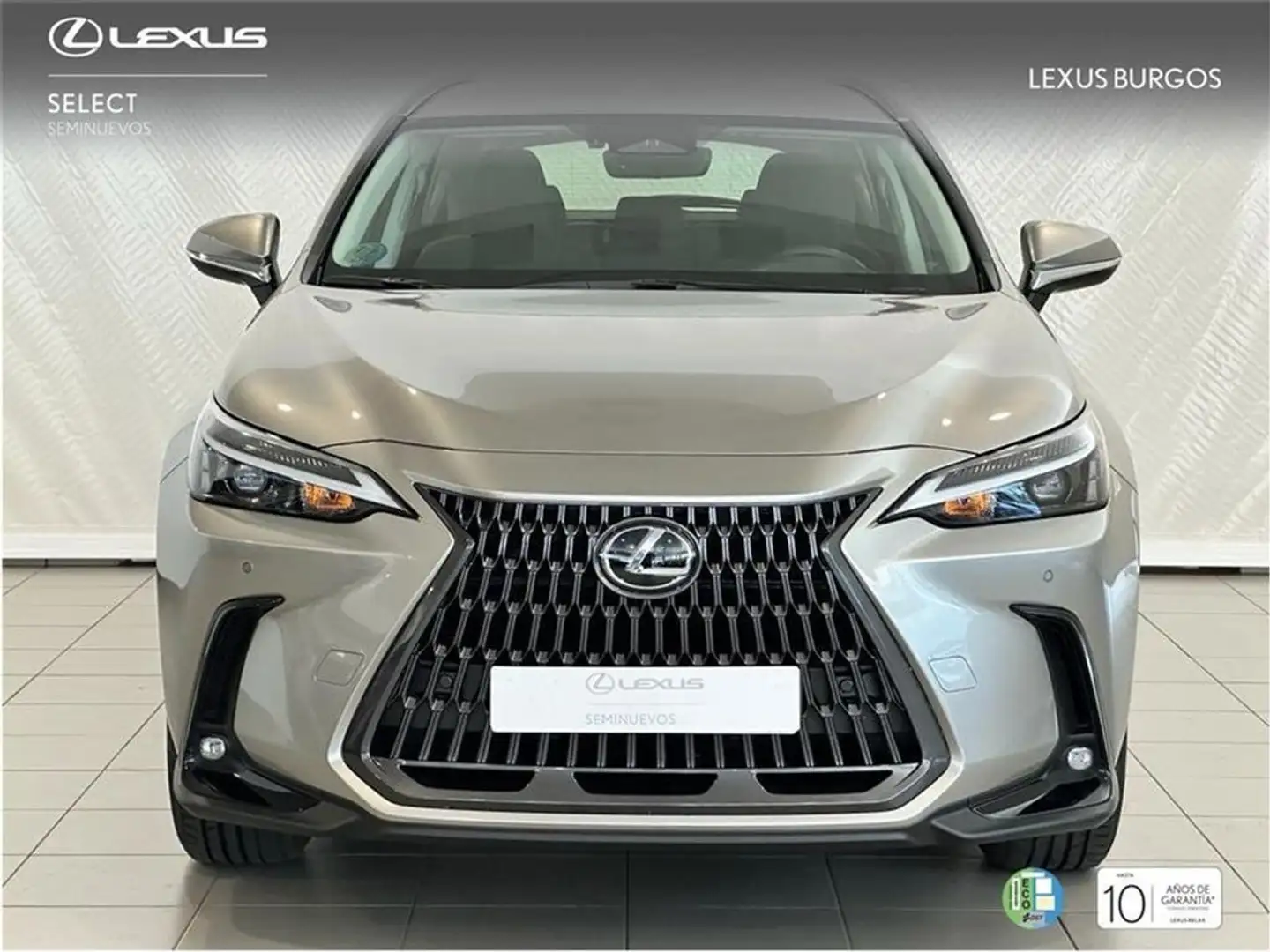 Lexus NX 300h 350h Executive 2WD Grau - 2