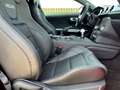 Ford Mustang Fastback 5.0 Ti-VCT Mach I Rojo - thumbnail 15
