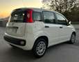 Fiat Panda 1.3 mjt Easy Blanc - thumbnail 5