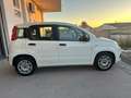 Fiat Panda 1.3 mjt Easy Blanc - thumbnail 6