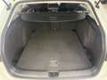 Volkswagen Golf VIII Variant 1.5eTSI Goal AHK RFK LED NAVI Weiß - thumbnail 14