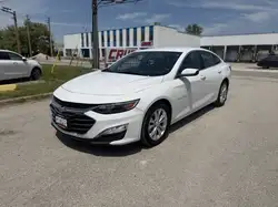 2019 Chevrolet Malibu