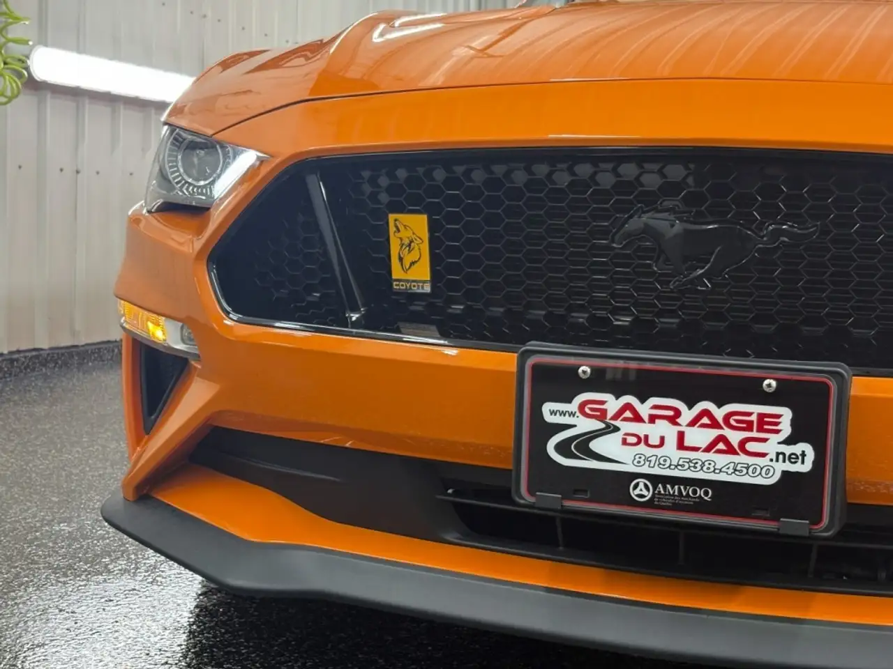 Ford Mustang снимка Ford Mustang