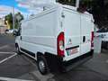 Citroen Jumper 30 L1H1 Business BlueHDi  Euro 6-Klima Weiß - thumbnail 2
