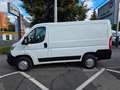 Citroen Jumper 30 L1H1 Business BlueHDi  Euro 6-Klima Weiß - thumbnail 5