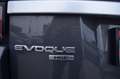 Land Rover Range Rover Evoque 2.0 TD4 150 HSE BVA MARK V Grau - thumbnail 10